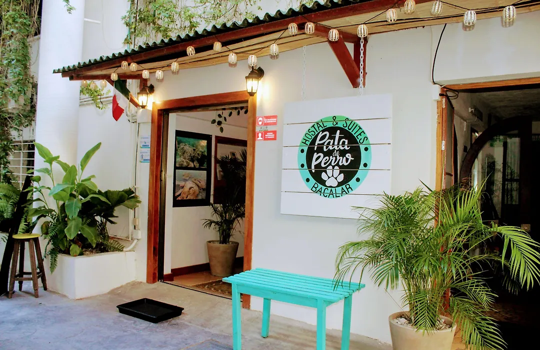 Hostal&Suites Pata de Perro-1